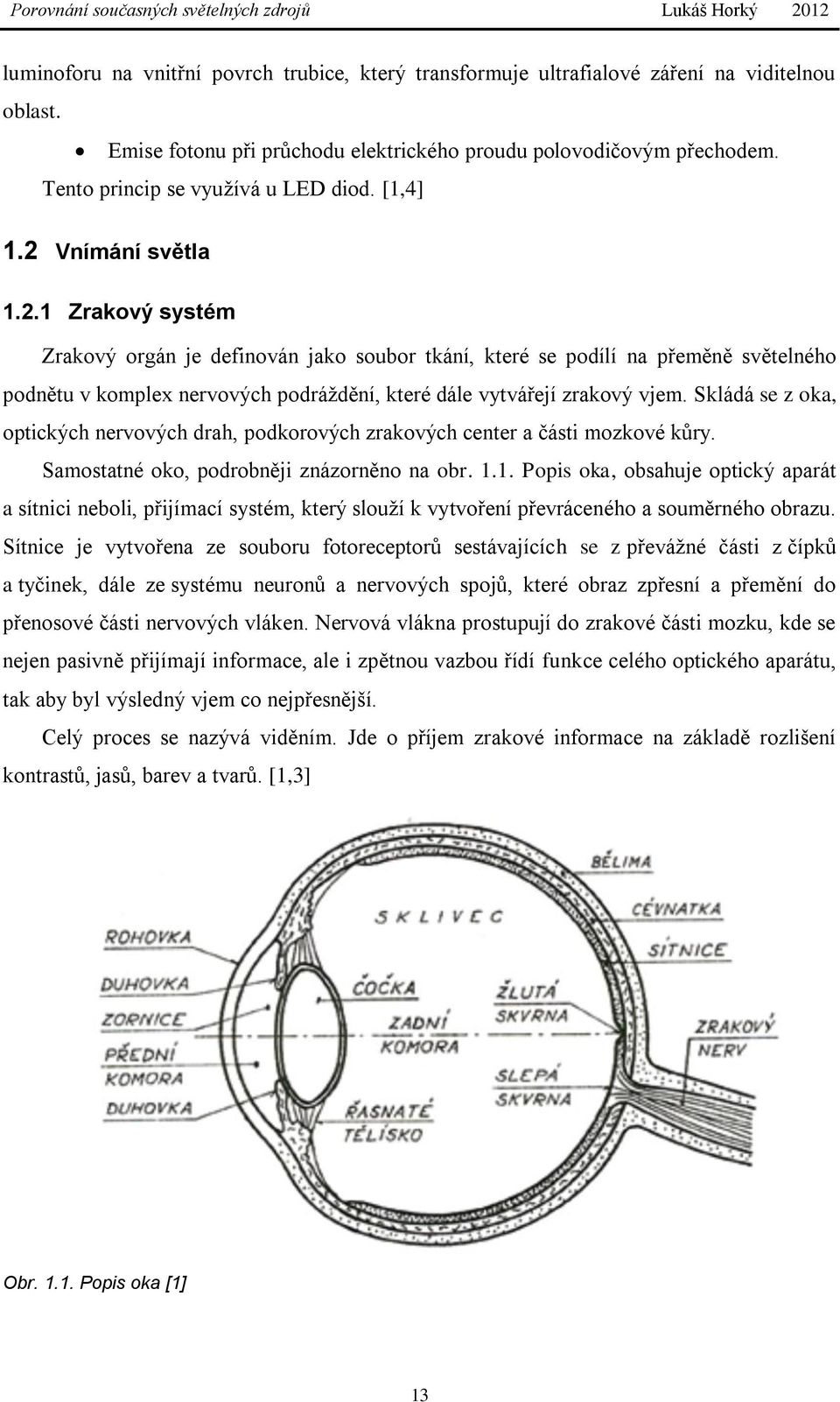 Vnímání světla 1.2.1 Zrakový systém Zrakový orgán je definován jako soubor tkání, které se podílí na přeměně světelného podnětu v komplex nervových podráždění, které dále vytvářejí zrakový vjem.