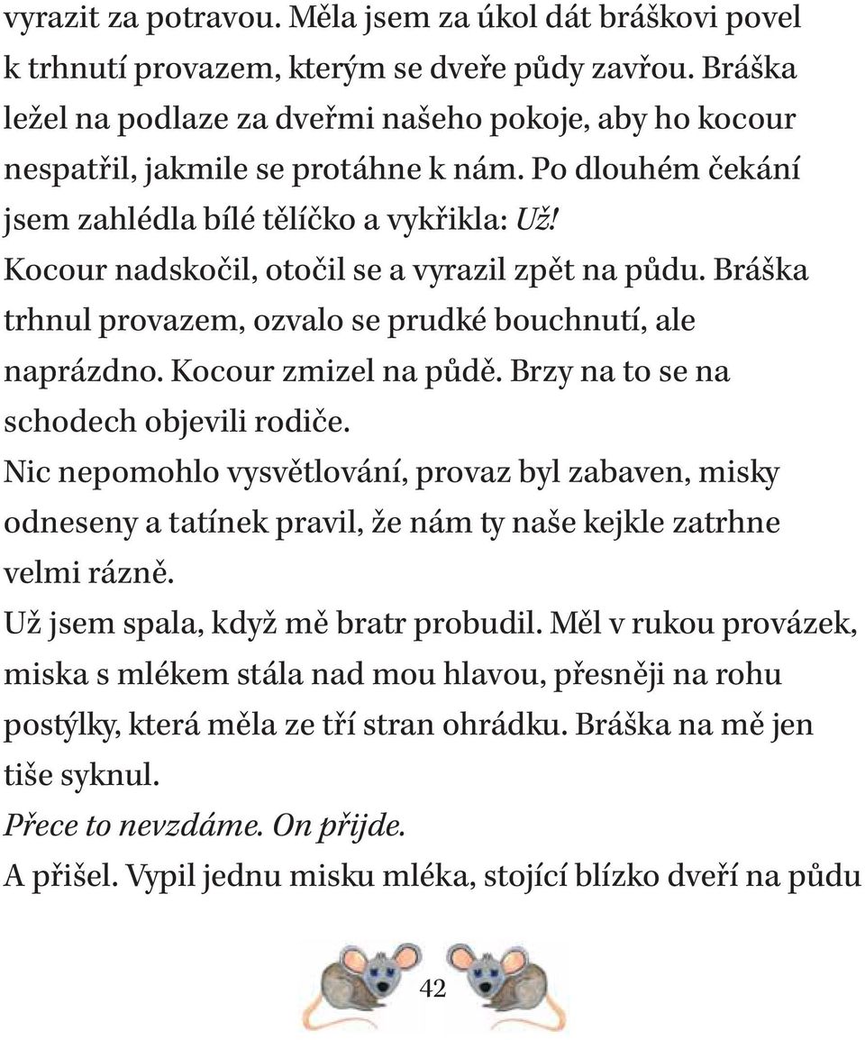 Kocour nadskočil, otočil se a vyrazil zpět na půdu. Bráška trhnul provazem, ozvalo se prudké bouchnutí, ale naprázdno. Kocour zmizel na půdě. Brzy na to se na schodech objevili rodiče.