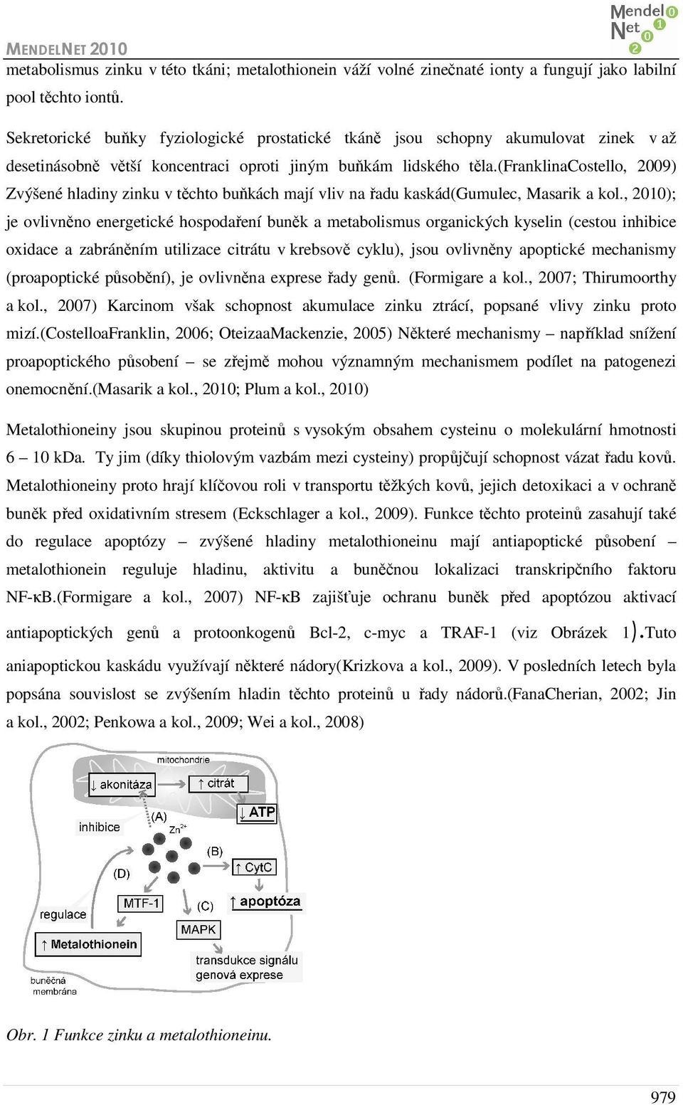(franklinacostello, 2009) Zvýšené hladiny zinku v těchto buňkách mají vliv na řadu kaskád(gumulec, Masarik a kol.