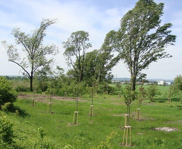 Duben 2013 odpočinková zóna