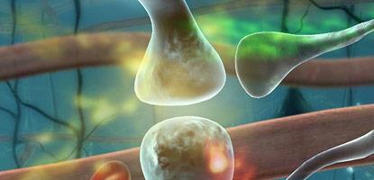 Pronikání do nano-neurofyziologie Mozek= 5 mil.
