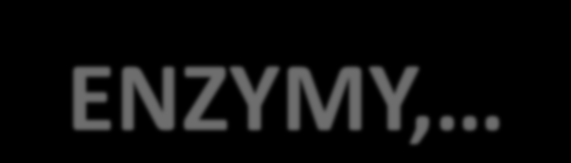 BÍLKOVINY V MLÉCE (3-5%) KASEINY - 78 85 % - sráží se v kyselém