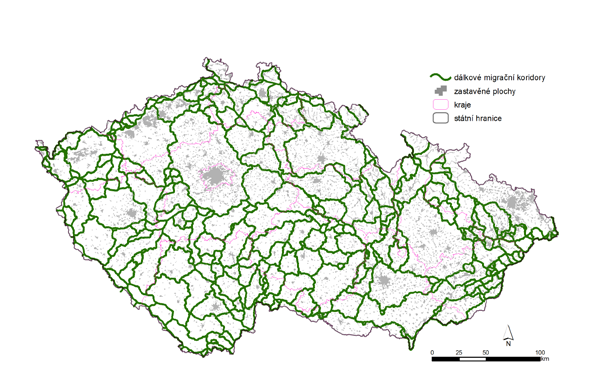 3. Rozbor problematiky Obr. 3-6 Mapa dálkových migračních koridorů C. Migrační trasy Migrační trasy jsou nejnižší jednotkou v rámci hierarchického uspořádání této metodiky.