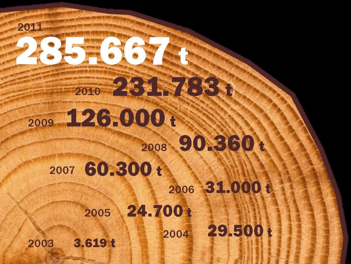 Struktura spotřeby tepla v palivech za období roku 2011 Průměrná výhřevnost štěpky 9,45 GJ/t Průměrný obsah vody