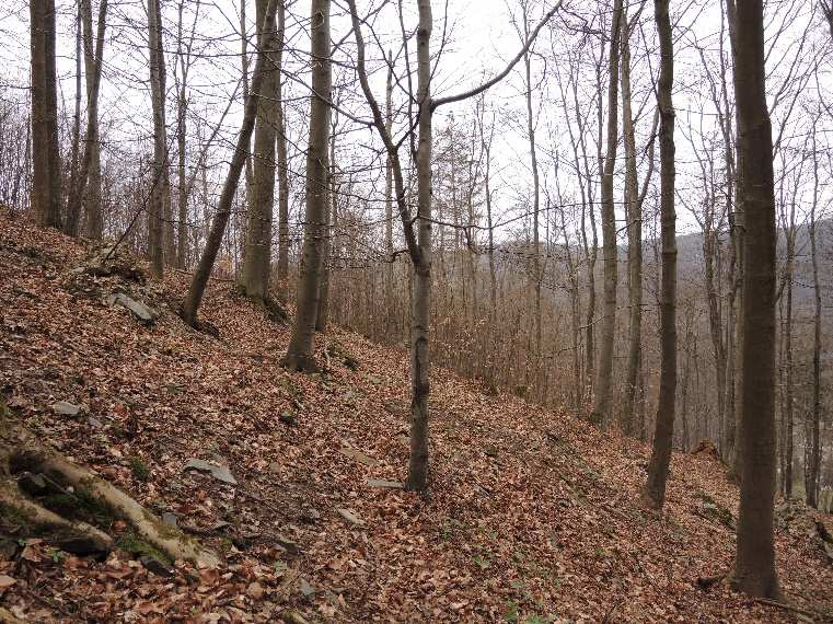 Zpracovatel: Ing. Marián Horváth Duben / 2016 Posouzení obsahuje celkem 21 stran včetně titulní strany.