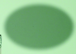 LATEX FREE REAMAN 2 Sacca per il trasporto in PVC completo di: Pallone per rianimazione non autoclavabile, 2 maschere non autoclavabili, 3 cannule di Guedel, Tiralingua, Apribocca elicoidale.