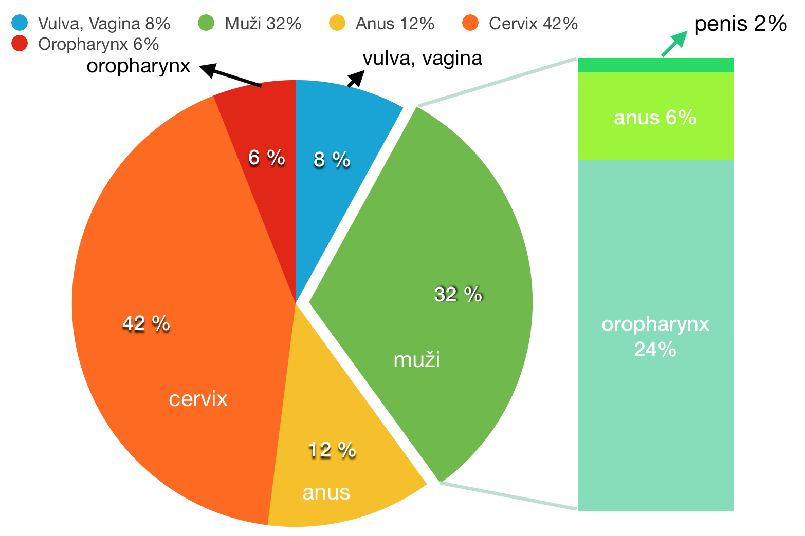 HPV očkování mužské populace Karcinomy ascociované s HPV 16 a 18 v USA Zandberg DP, al.