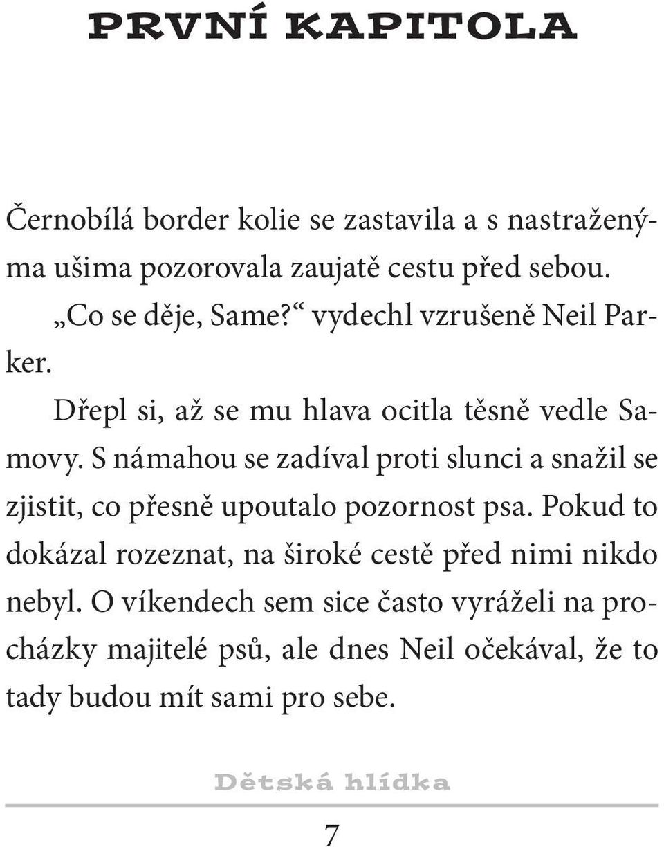 S námahou se zadíval proti slunci a snažil se zjistit, co přesně upoutalo pozornost psa.