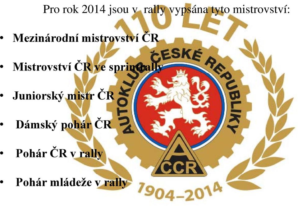 Mistrovství ČR ve sprintrally Juniorský mistr