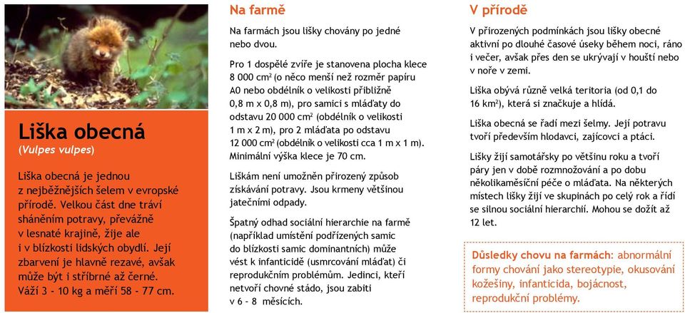 Váží 3-10 kg a měří 58-77 cm. Na farmě Na farmách jsou lišky chovány po jedné nebo dvou.