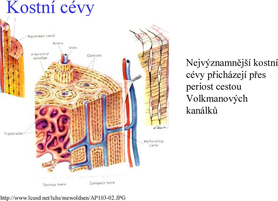 cestou Volkmanových kanálků