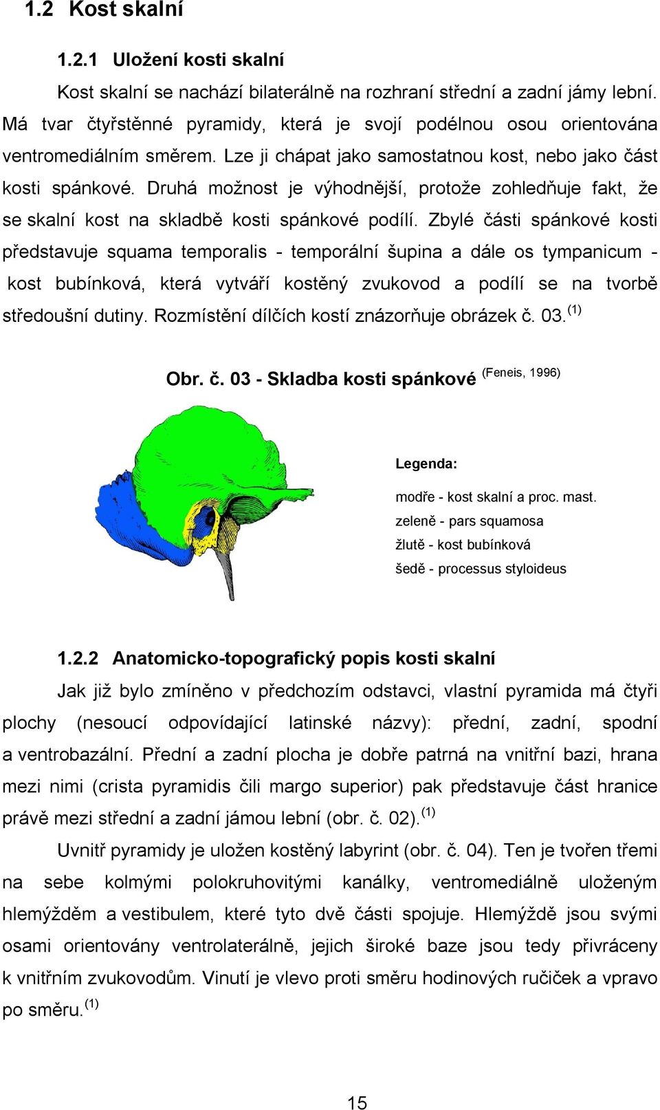 Druhá možnost je výhodnější, protože zohledňuje fakt, že se skalní kost na skladbě kosti spánkové podílí.