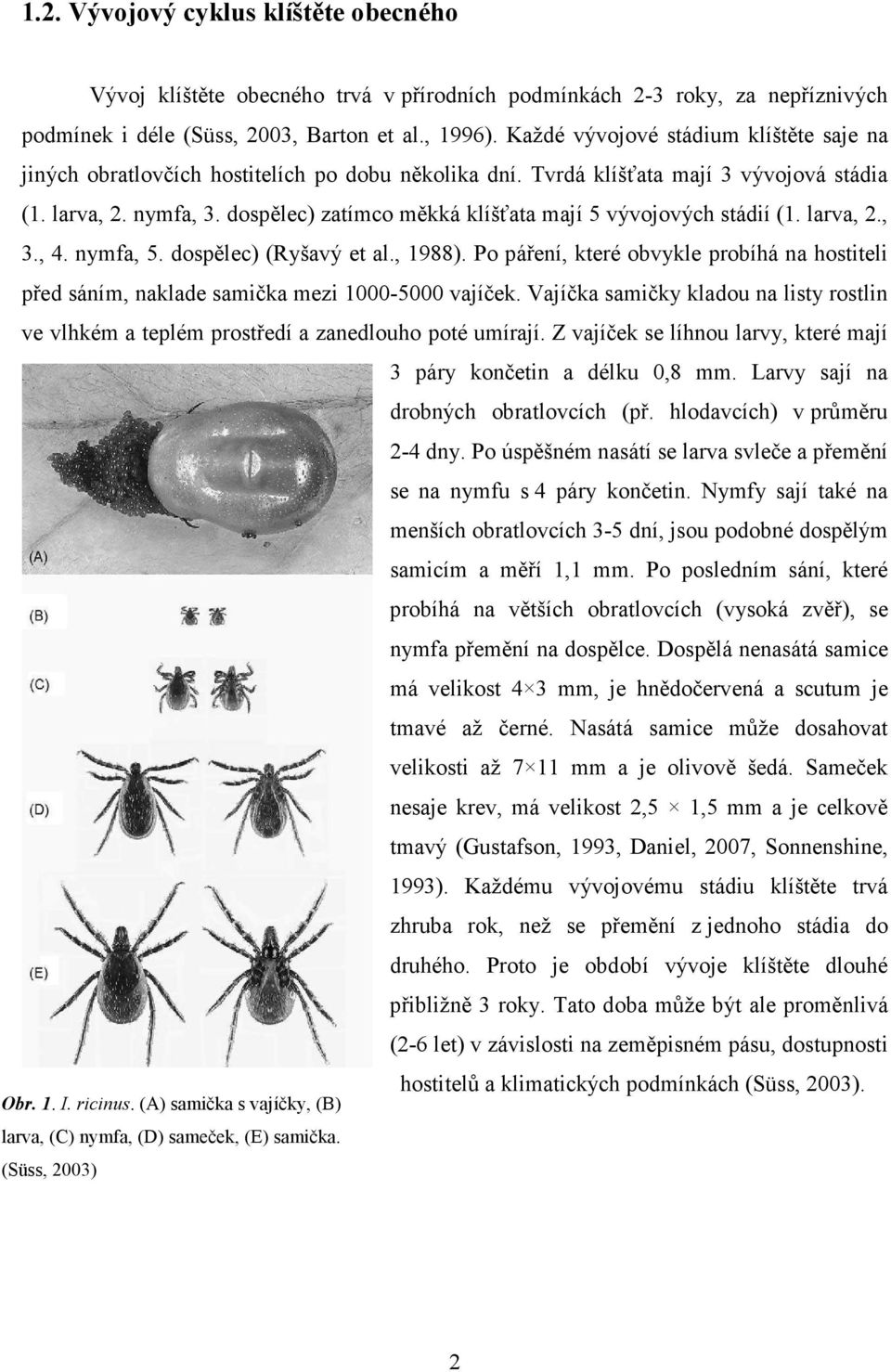 dospělec) zatímco měkká klíšťata mají 5 vývojových stádií (1. larva, 2., 3., 4. nymfa, 5. dospělec) (Ryšavý et al., 1988).