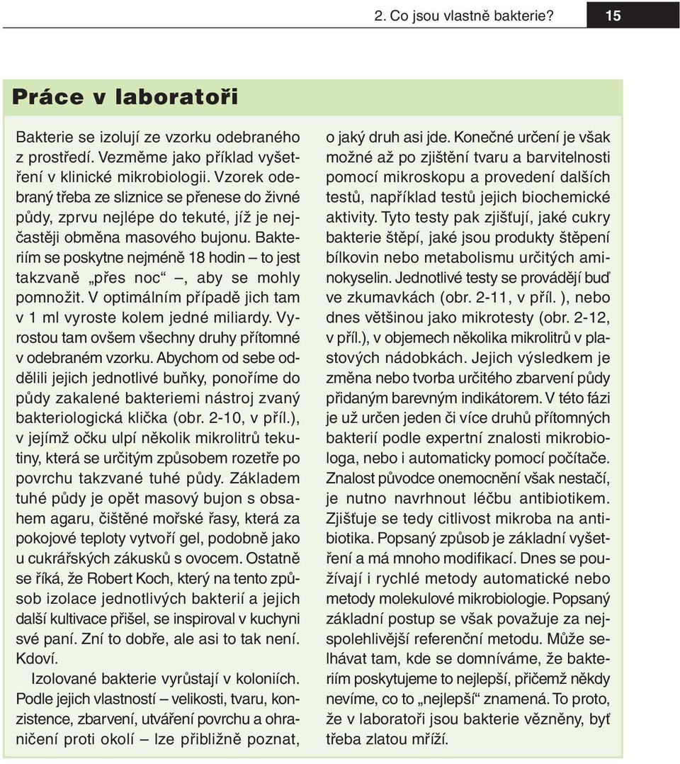 Bakteriím se poskytne nejméně 18 hodin to jest takzvaně přes noc, aby se mohly pomnožit. V optimálním případě jich tam v1 ml vyroste kolem jedné miliardy.