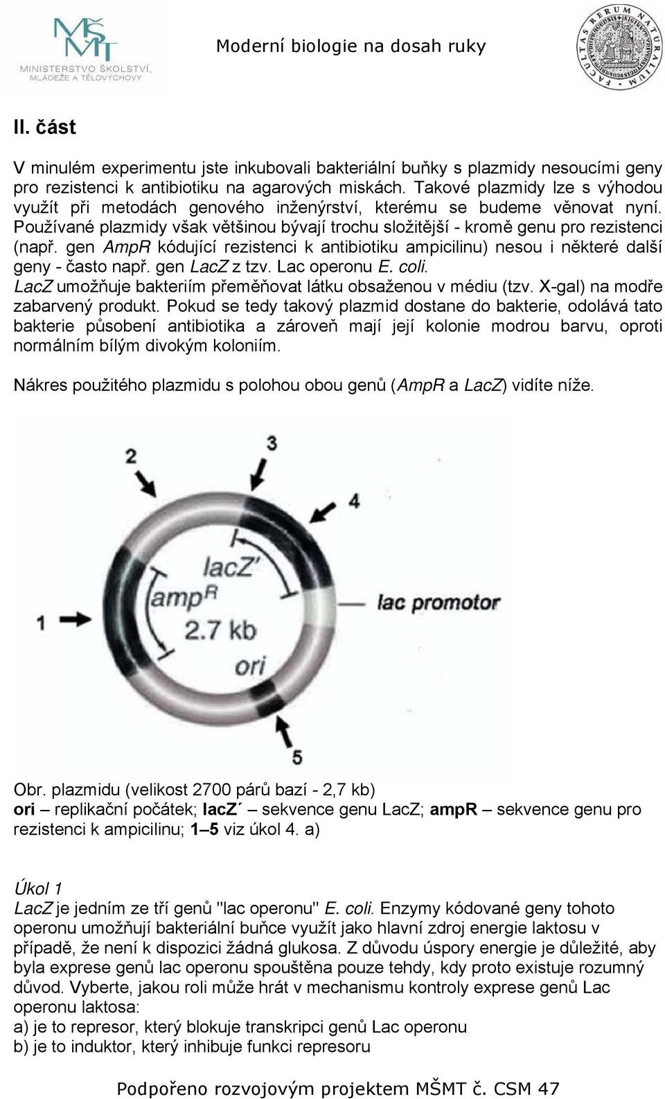 gen AmpR kódující rezistenci k antibiotiku ampicilinu) nesou i některé další geny - často např. gen LacZ z tzv. Lac operonu E. coli. LacZ umožňuje bakteriím přeměňovat látku obsaženou v médiu (tzv.