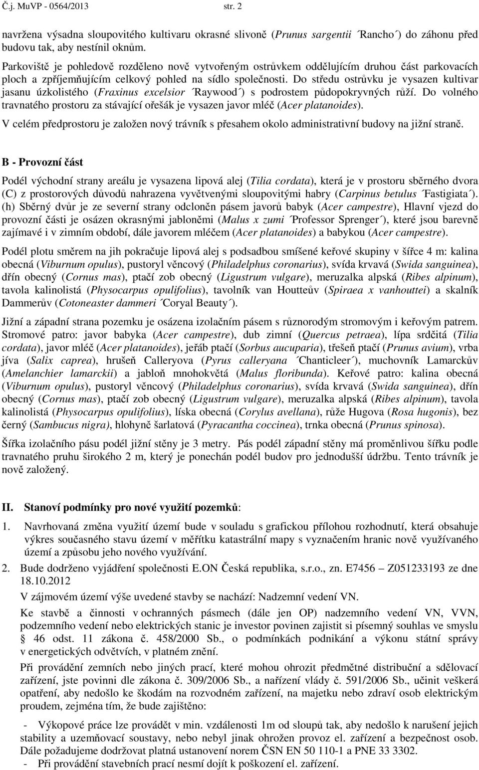 Do středu ostrůvku je vysazen kultivar jasanu úzkolistého (Fraxinus excelsior Raywood ) s podrostem půdopokryvných růží.