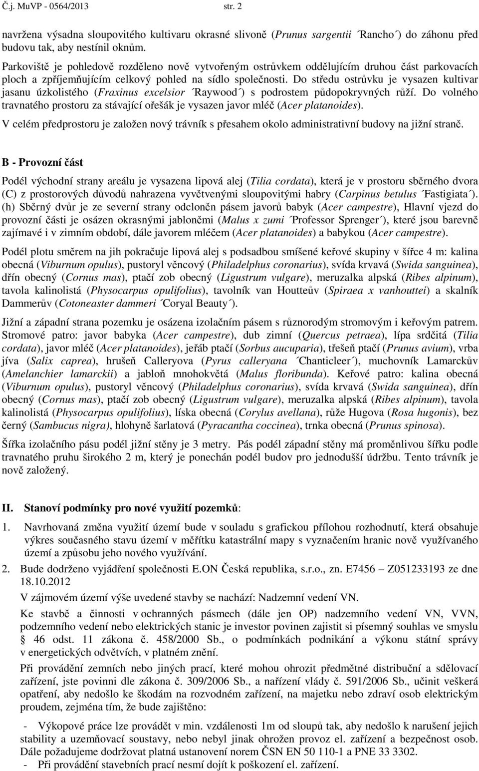 Do středu ostrůvku je vysazen kultivar jasanu úzkolistého (Fraxinus excelsior Raywood ) s podrostem půdopokryvných růží.