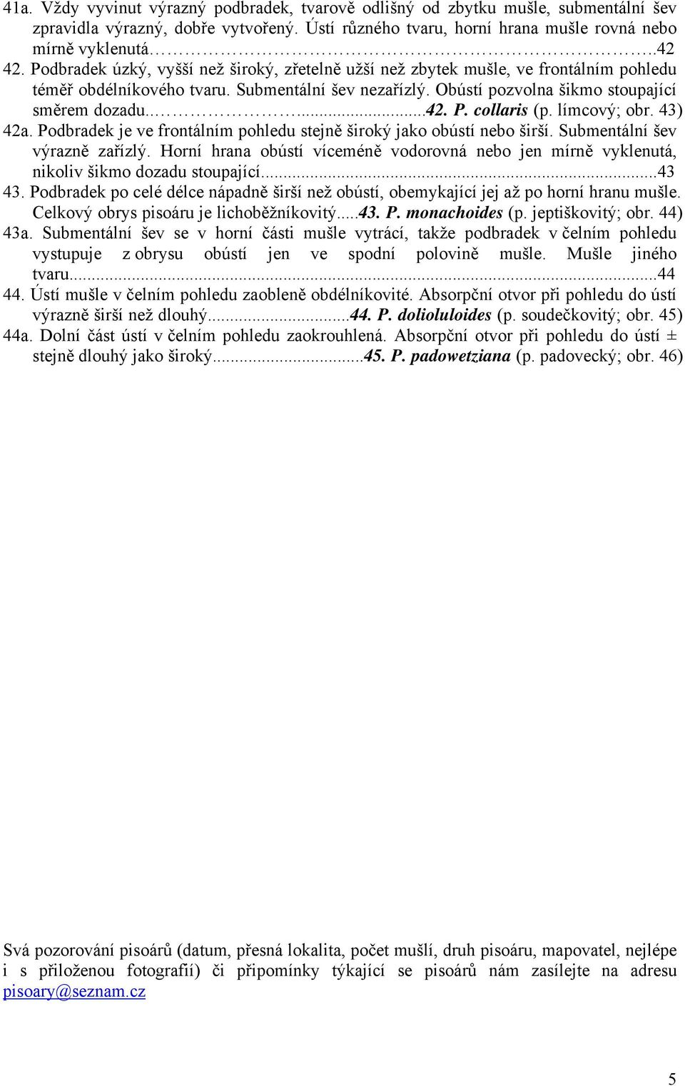 collaris (p. límcový; obr. 43) 42a. Podbradek je ve frontálním pohledu stejně široký jako obústí nebo širší. Submentální šev výrazně zařízlý.