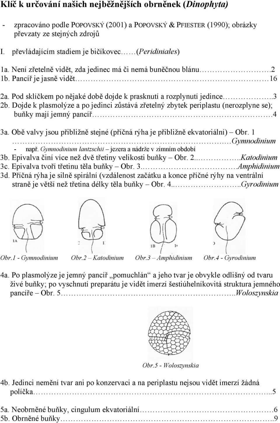 Klíč k určování našich nejběžnějších obrněnek (Dinophyta) - PDF Free  Download