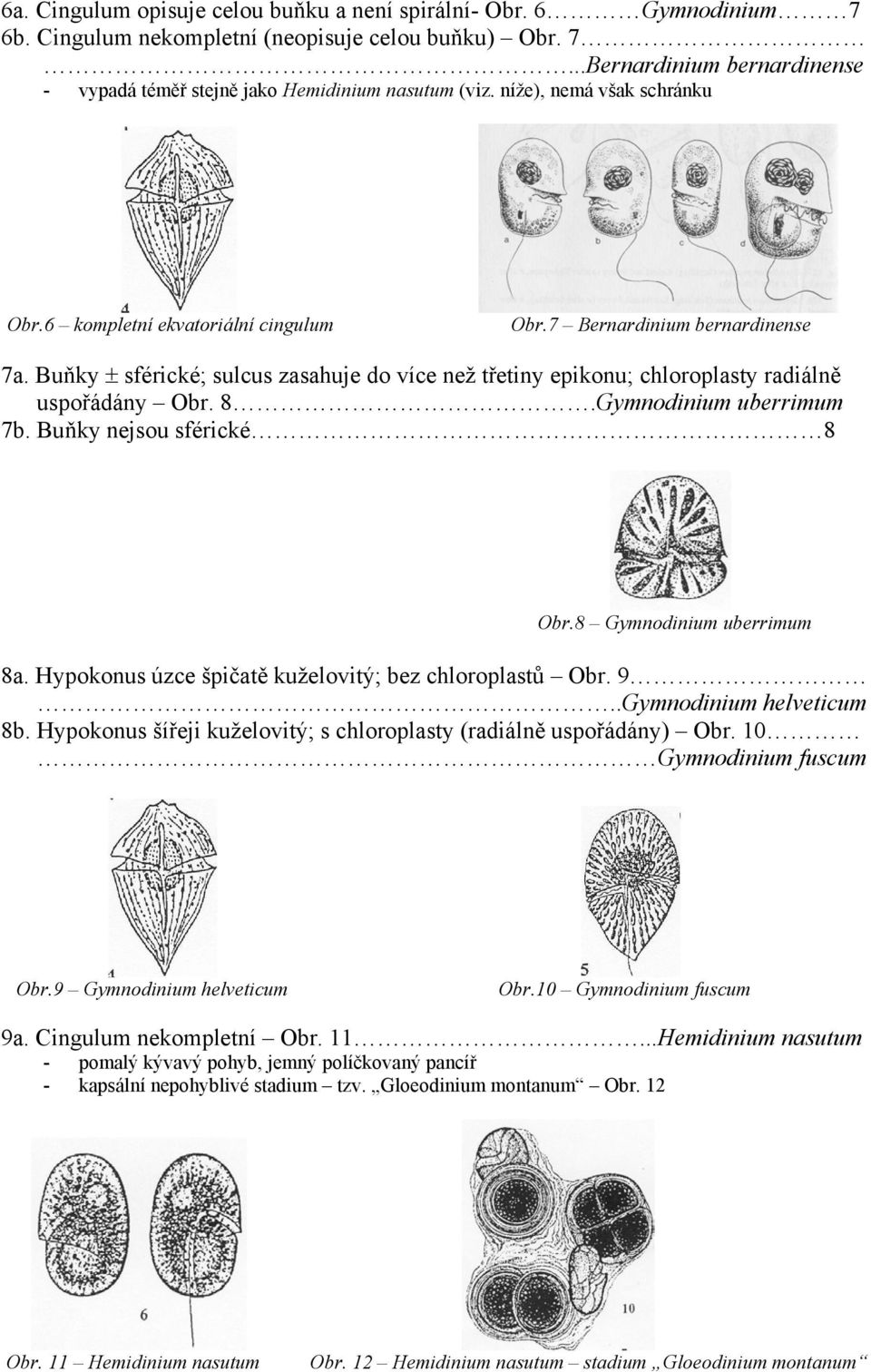 Buňky ± sférické; sulcus zasahuje do více než třetiny epikonu; chloroplasty radiálně uspořádány Obr. 8.Gymnodinium uberrimum 7b. Buňky nejsou sférické 8 Obr.8 Gymnodinium uberrimum 8a.