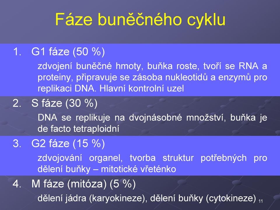 enzymů pro replikaci DNA. Hlavní kontrolní uzel 2.