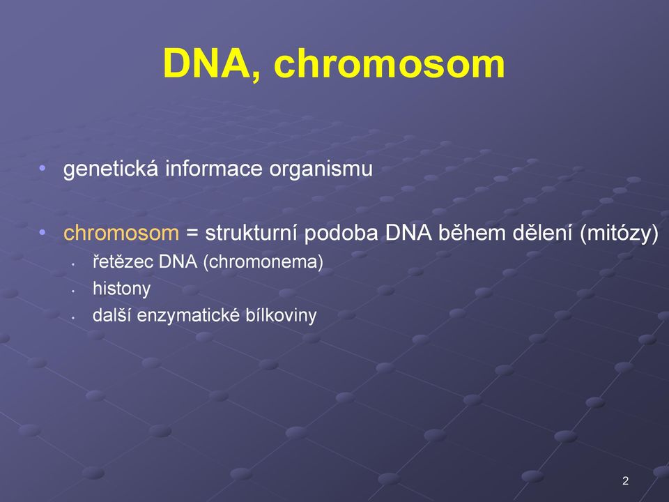 DNA během dělení (mitózy) řetězec DNA