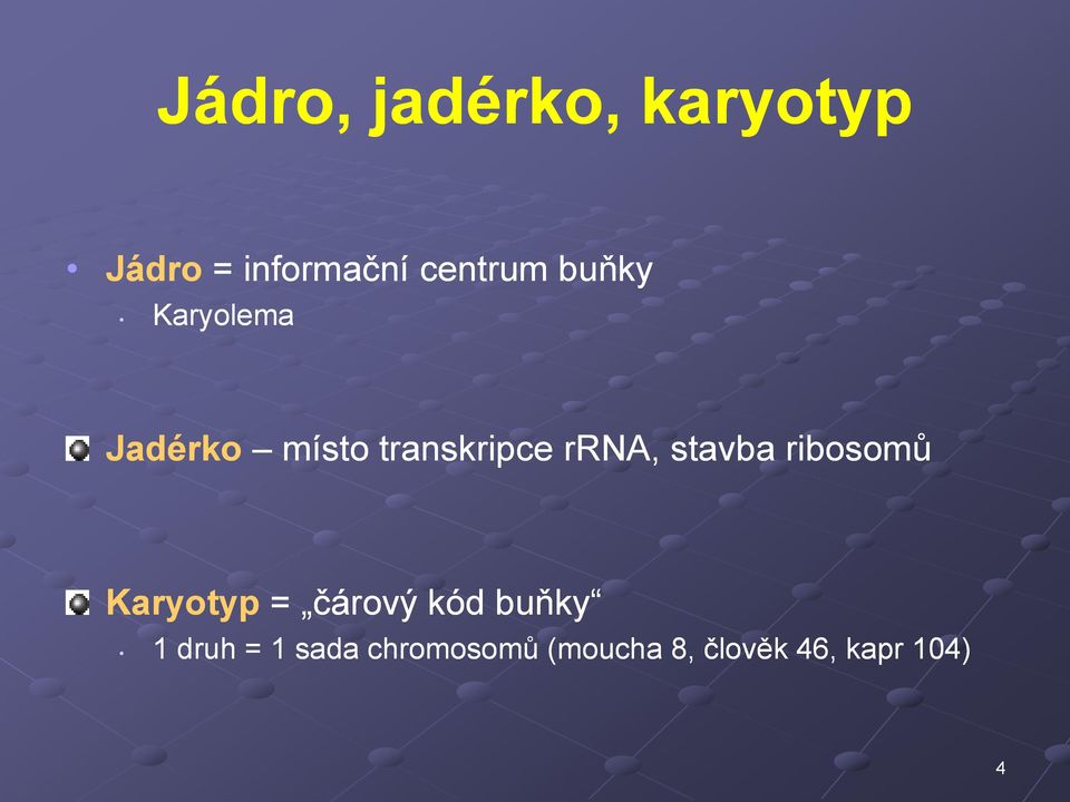 rrna, stavba ribosomů Karyotyp = čárový kód buňky