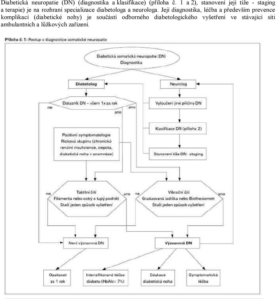 diabetologa a neurologa.