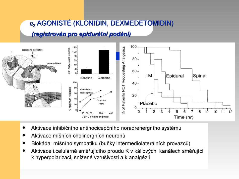 Blokáda míšního sympatiku (buňky intermediolaterálních provazců) Aktivace i.