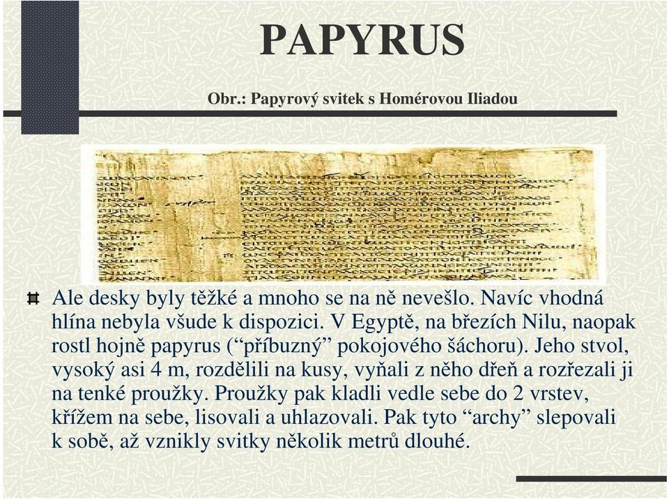 V Egyptě, na březích Nilu, naopak rostl hojně papyrus ( příbuzný pokojového šáchoru).