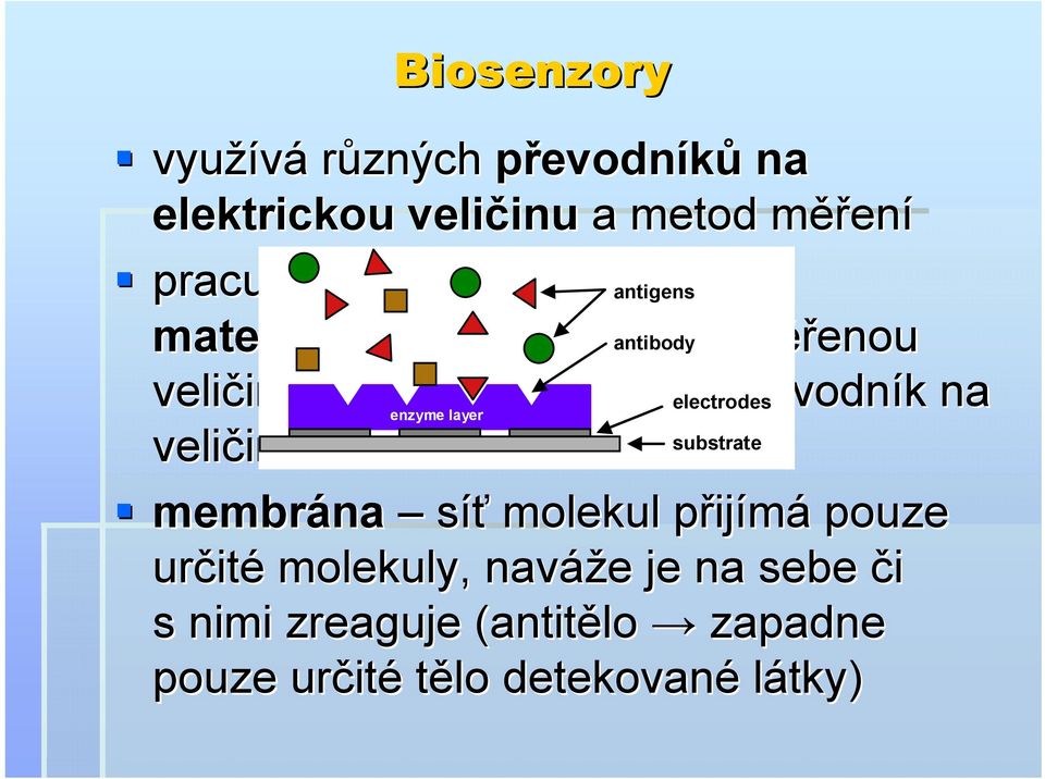 electrodes převodník k na enzyme layer substrate veličinu inu elektrickou membrána síť molekul přijp