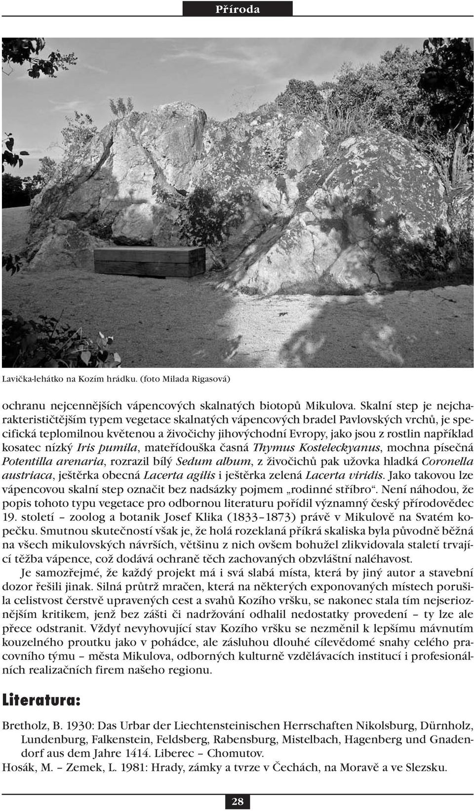 například kosatec nízký Iris pumila, mateřídouška časná Thymus Kosteleckyanus, mochna písečná Potentilla arenaria, rozrazil bílý Sedum album, z živočichů pak užovka hladká Coronella austriaca,