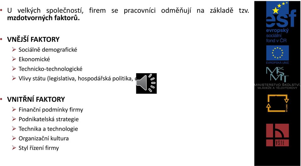 VNĚJŠÍ FAKTORY Sociálně demografické Ekonomické Technicko-technologické Vlivy státu
