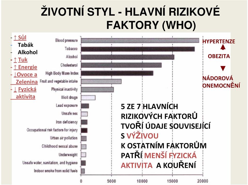 RIZIKOVÝCH FAKTORŮ TVOŘÍ ÚDAJE SOUVISEJÍCÍ S VÝŽIVOU K OSTATNÍM FAKTORŮM