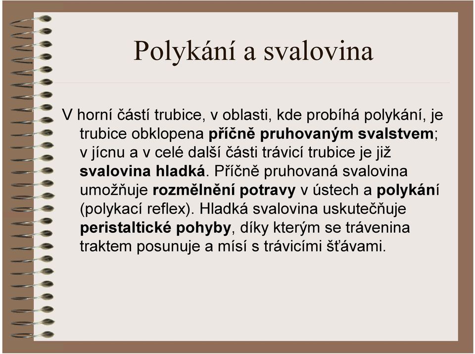 Příčně pruhovaná svalovina umožňuje rozmělnění potravy vústech a polykání (polykací reflex).