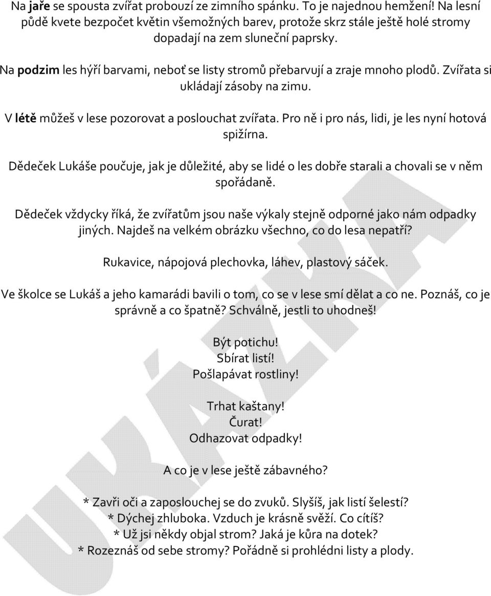 Na podzim les hýří barvami, neboť se listy stromů přebarvují a zraje mnoho plodů. Zvířata si ukládají zásoby na zimu. V létě můžeš v lese pozorovat a poslouchat zvířata.