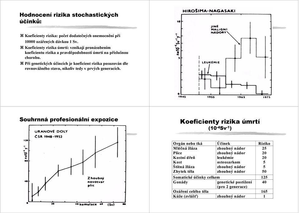 Při genetických účincích je koeficient rizika posuzován dle rovnovážného stavu, nikoliv tedy v prvých generacích.