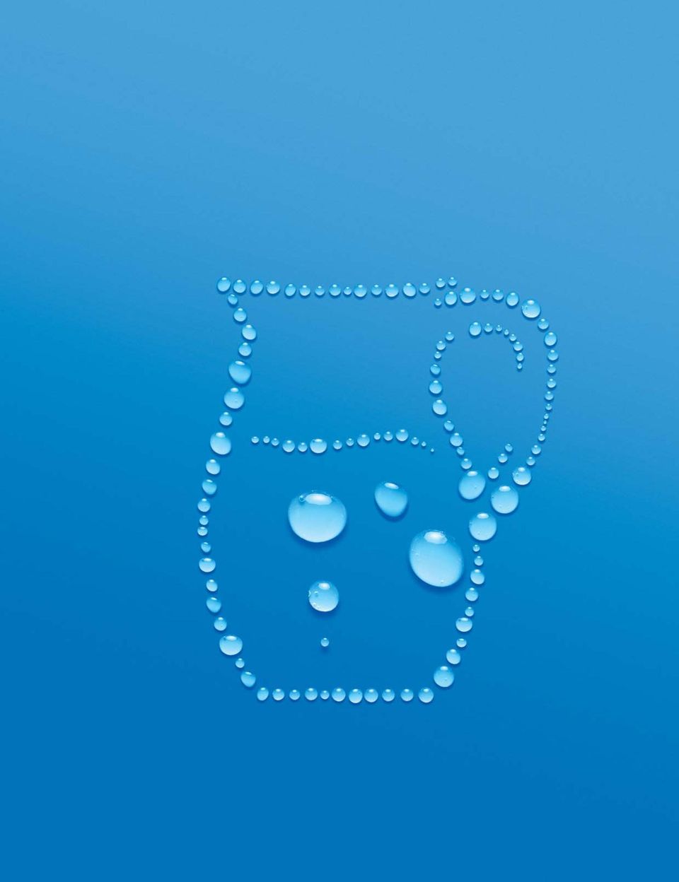 2009 / 19