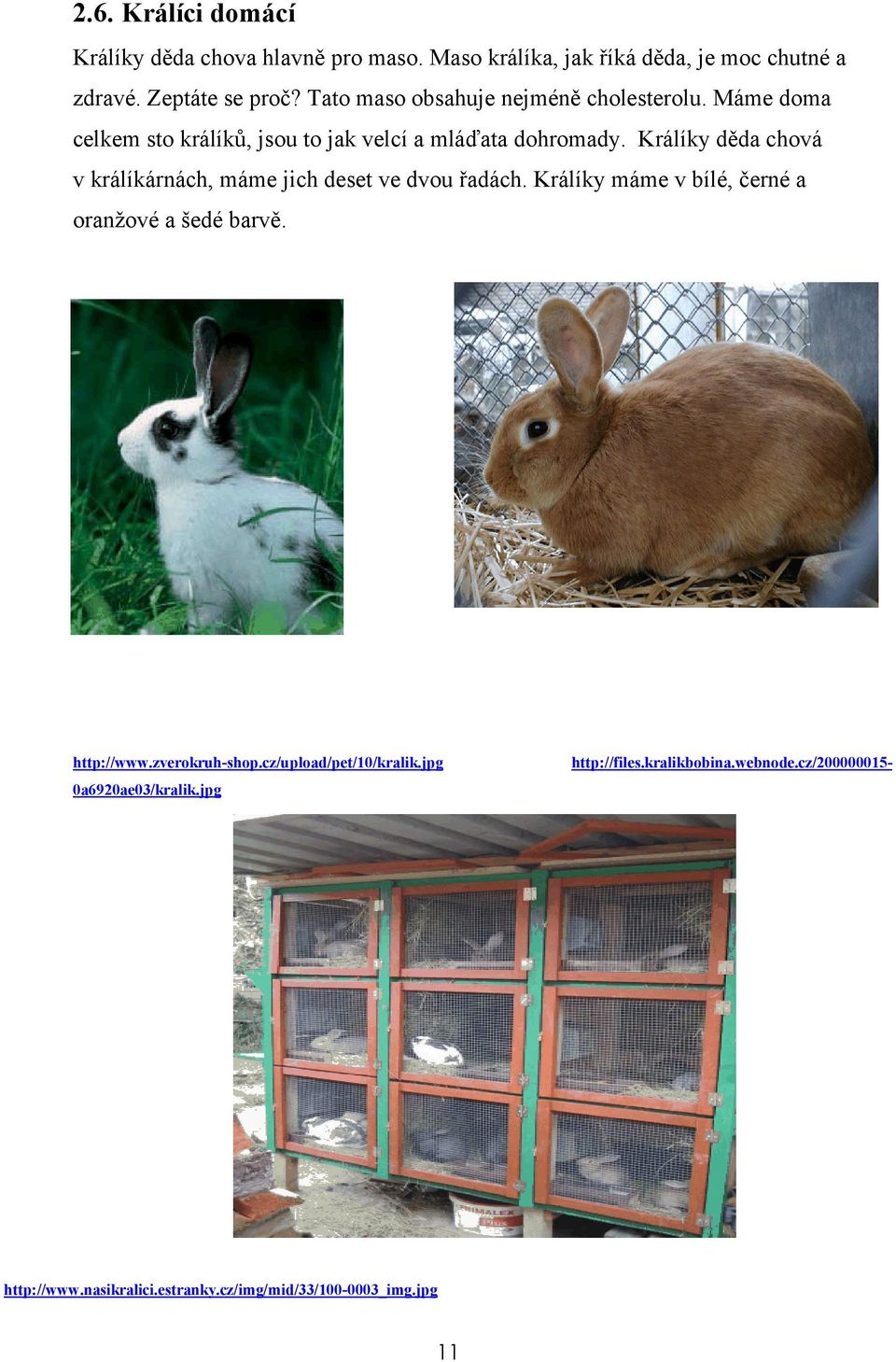Králíky děda chová v králíkárnách, máme jich deset ve dvou řadách. Králíky máme v bílé, černé a oranžové a šedé barvě. http://www.