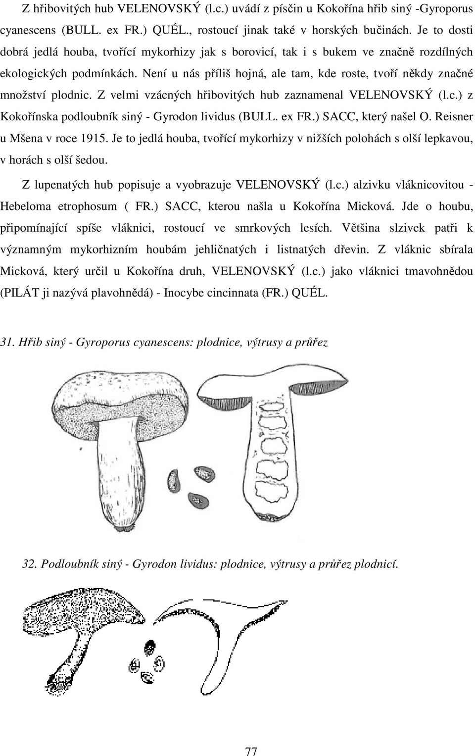 Není u nás příliš hojná, ale tam, kde roste, tvoří někdy značné množství plodnic. Z velmi vzácných hřibovitých hub zaznamenal VELENOVSKÝ (l.c.) z Kokořínska podloubník siný - Gyrodon lividus (BULL.