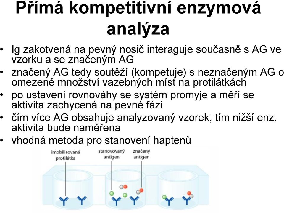 protilátkách po ustavení rovnováhy se systém promyje a měří se aktivita zachycená na pevné fázi čím