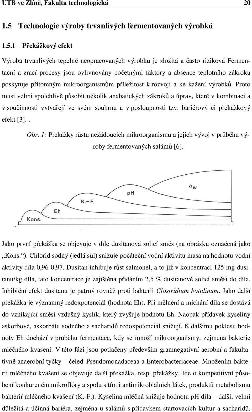 1 Překážkový efekt Výroba trvanlivých tepelně neopracovaných výrobků je složitá a často riziková Fermentační a zrací procesy jsou ovlivňovány početnými faktory a absence teplotního zákroku poskytuje