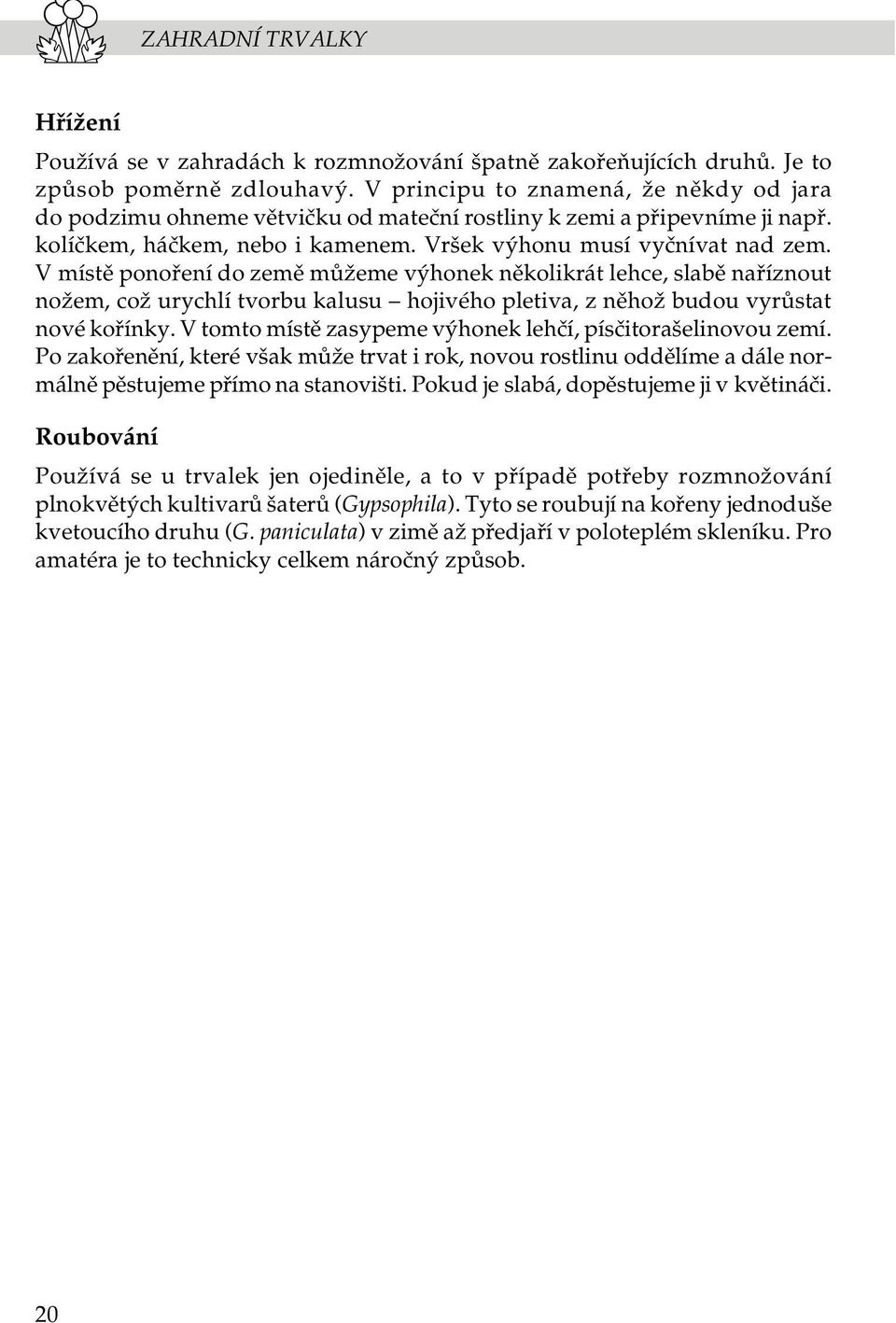 V místì ponoøení do zemì mùžeme výhonek nìkolikrát lehce, slabì naøíznout nožem, což urychlí tvorbu kalusu hojivého pletiva, z nìhož budou vyrùstat nové koøínky.