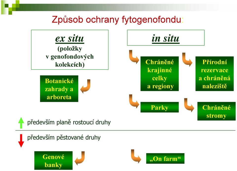 především pěstované druhy in situ Chráněné krajinné celky a regiony