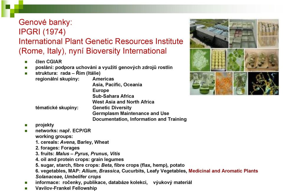 Documentation, Information and Training projekty networks: např. ECP/GR working groups: 1. cereals: Avena, Barley, Wheat 2. forages: Forages 3. fruits: Malus Pyrus, Prunus, Vitis 4.