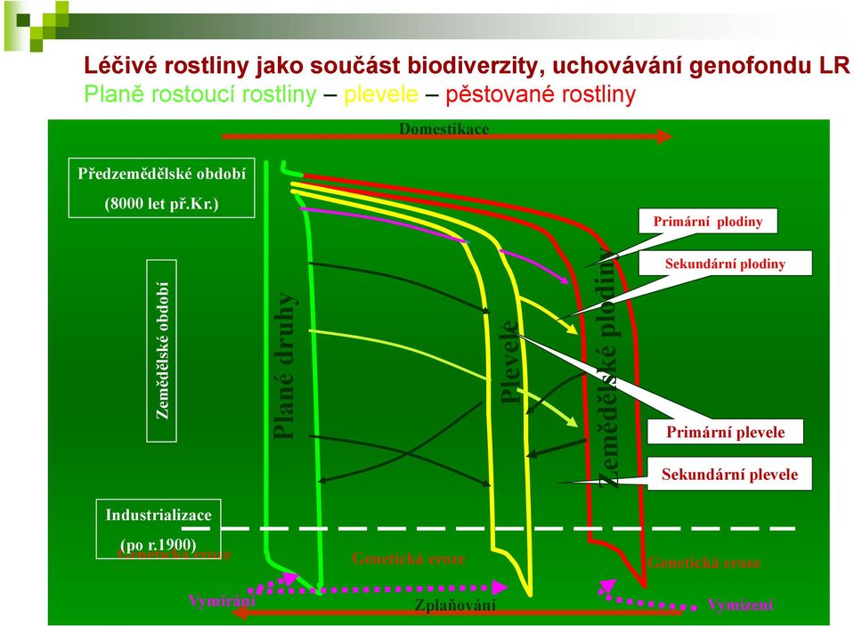 ) Primární plodiny Sekundární plodiny Zemědělské období Plané druhy Primární plevele