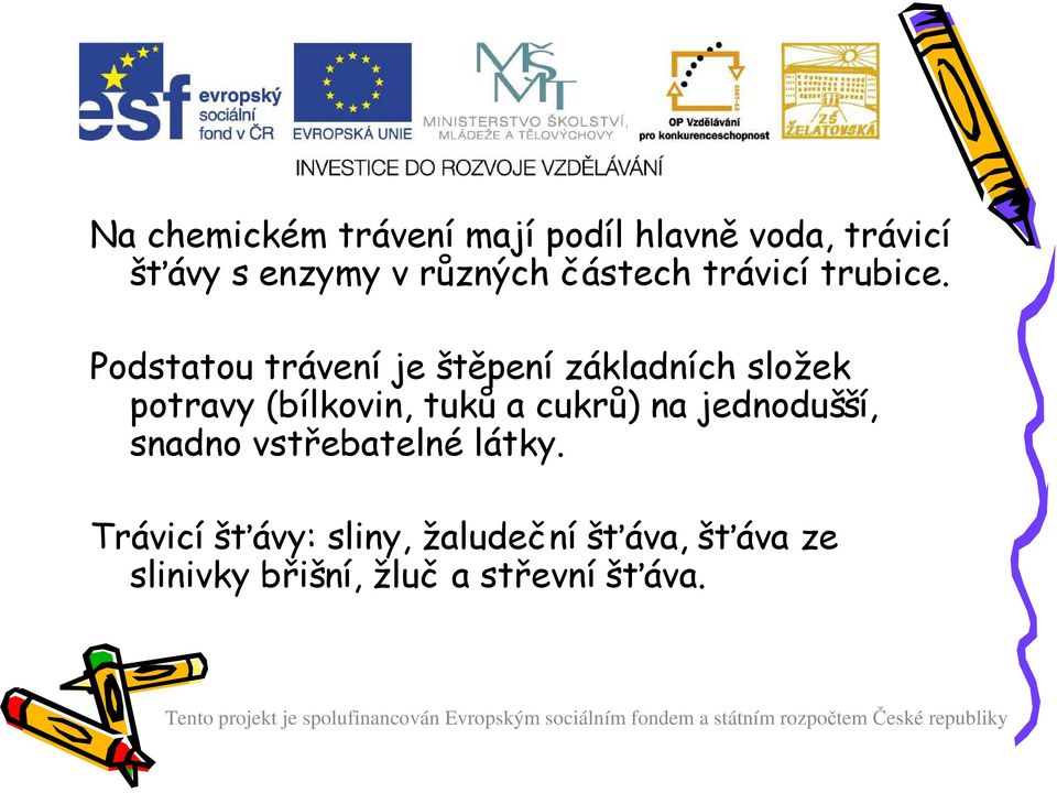 Podstatou trávení je štěpení základních složek potravy (bílkovin, tuků a