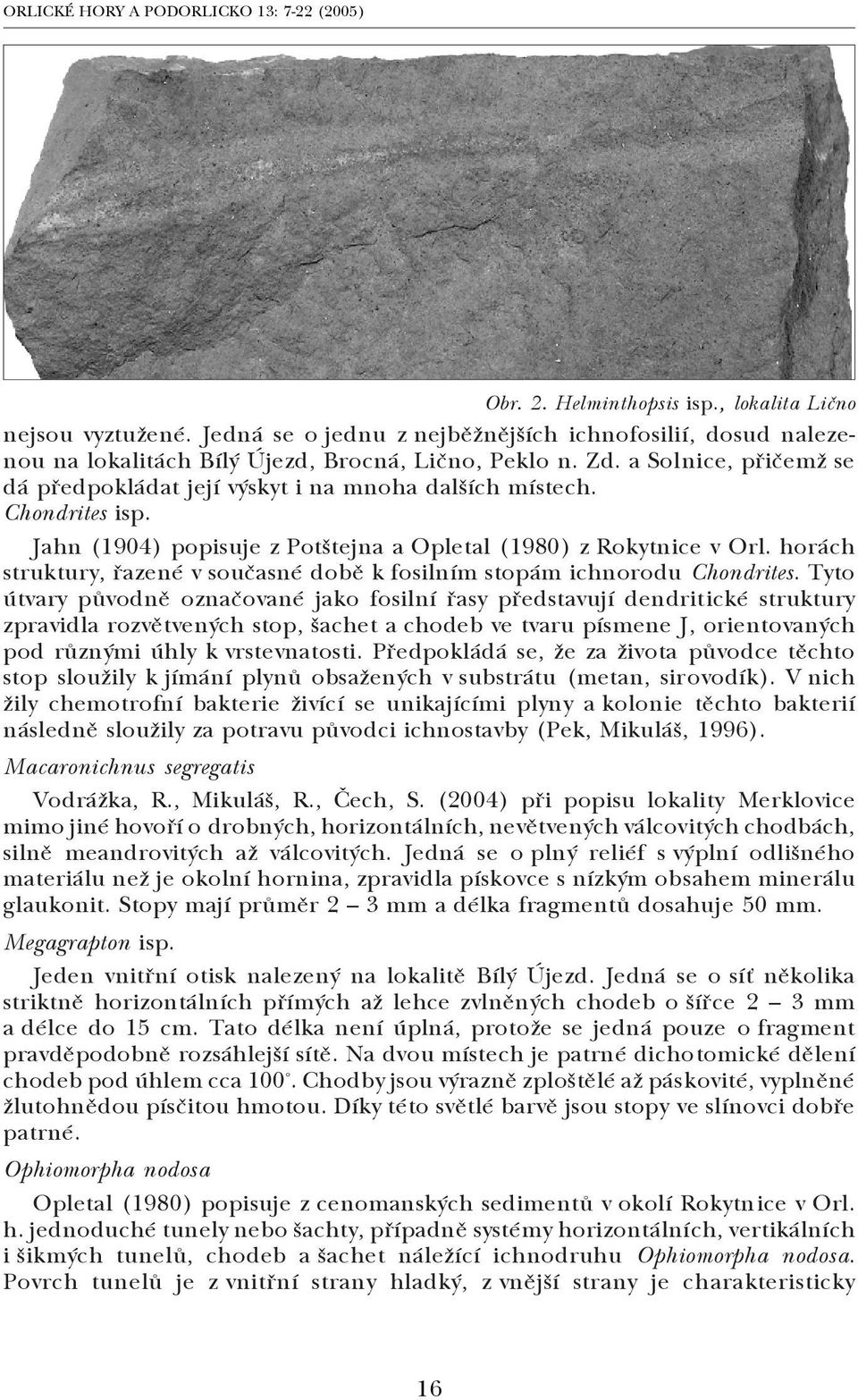 horách struktury, řazené v současné době k fosilním stopám ichnorodu Chondrites.