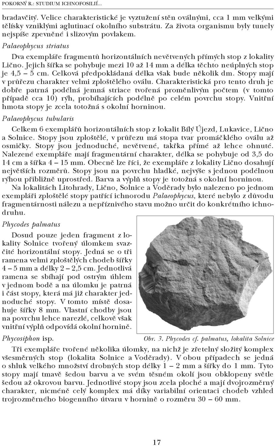 Jejich šířka se pohybuje mezi 10 až 14 mm a délka těchto neúplných stop je 4,5 5 cm. Celková předpokládaná délka však bude několik dm. Stopy mají v průřezu charakter velmi zploštělého oválu.