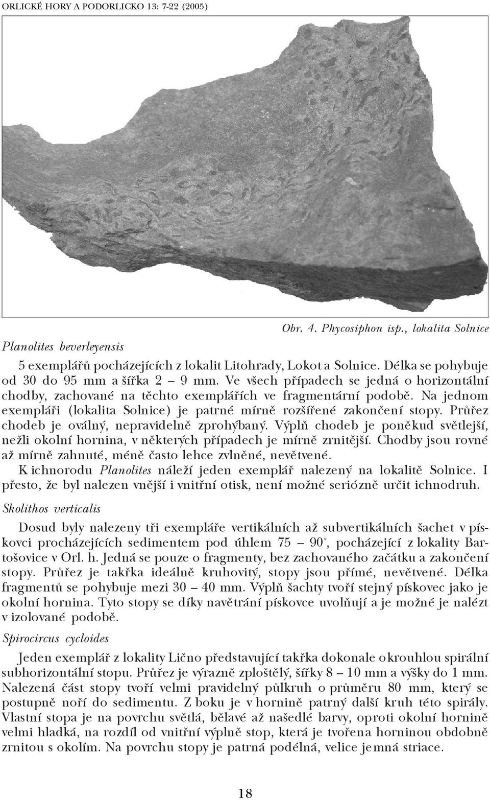 Průřez chodeb je oválný, nepravidelně zprohýbaný. Výplň chodeb je poněkud světlejší, nežli okolní hornina, v některých případech je mírně zrnitější.
